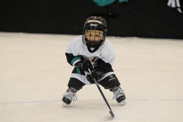 DSC_0056 - iPhoto Edited.jpg